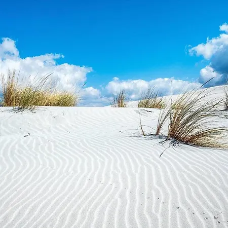 Sax's House Сант'Анна-Аррези